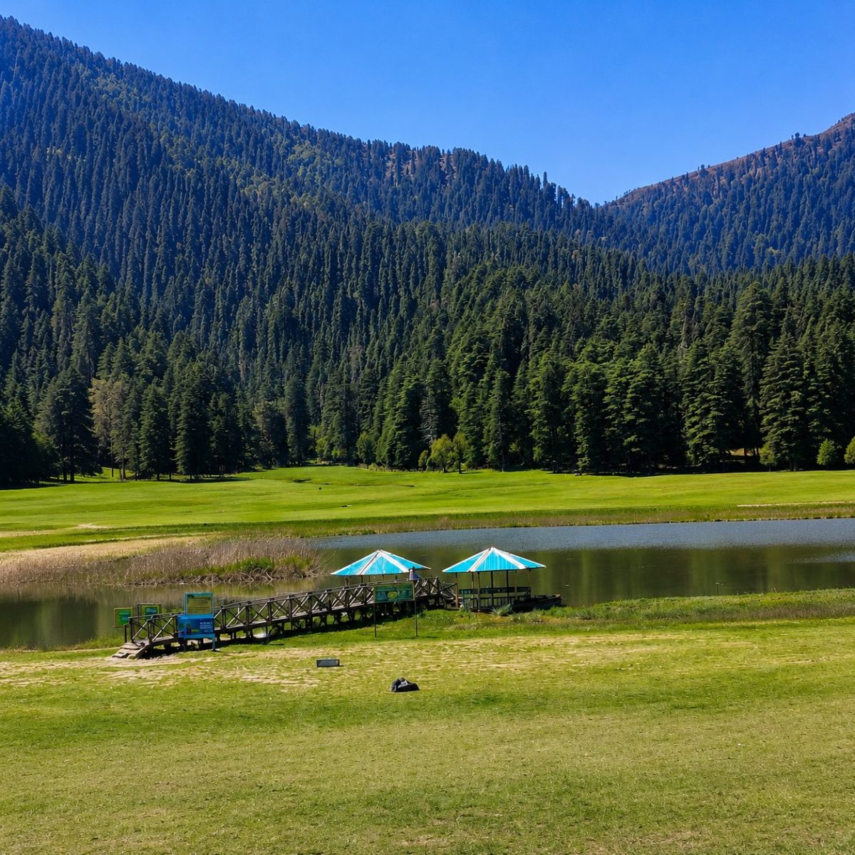 Dalhousie