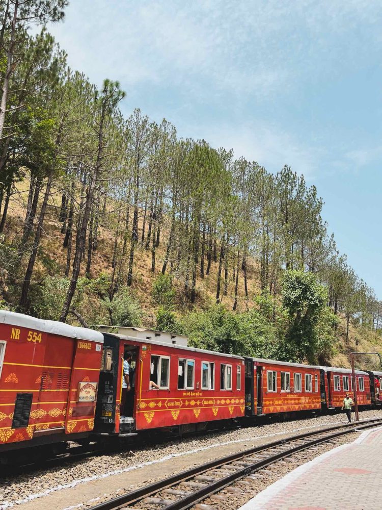 Shimla