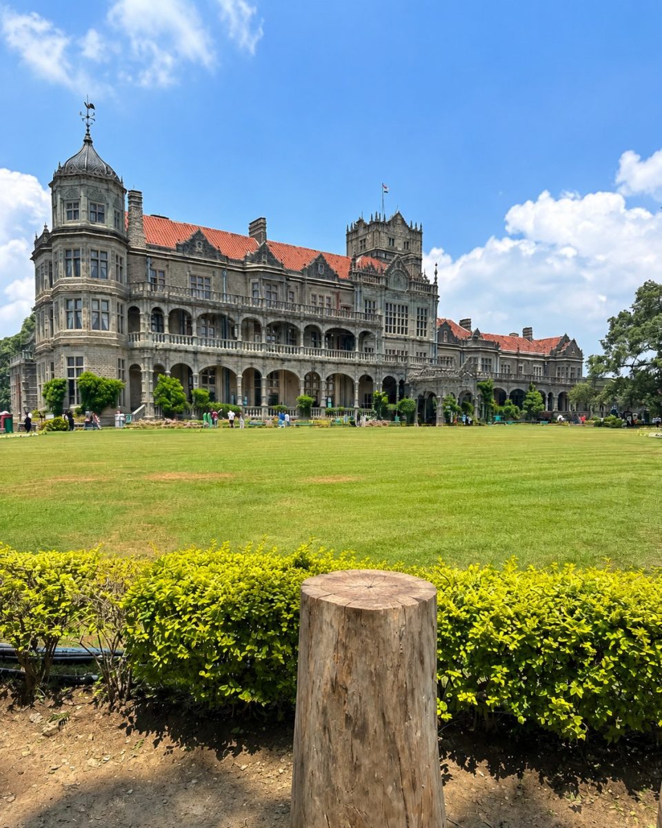 Shimla